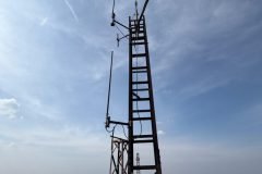 Cokelez-Role-Aktif-15-Mart-2026-1