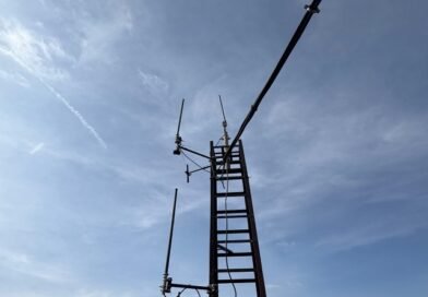 Çökelez Rölesi Yeniden Hizmette!