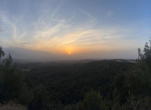 WhatsApp-Image-2024-05-21-at-09.27.29