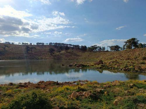 8.07.2022 TA Contest