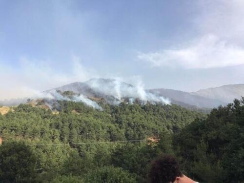 cqozq WhatsApp-Image-2024-06-15-at-02.16.20