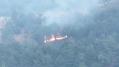 WhatsApp-Image-2024-06-15-at-13.53.05